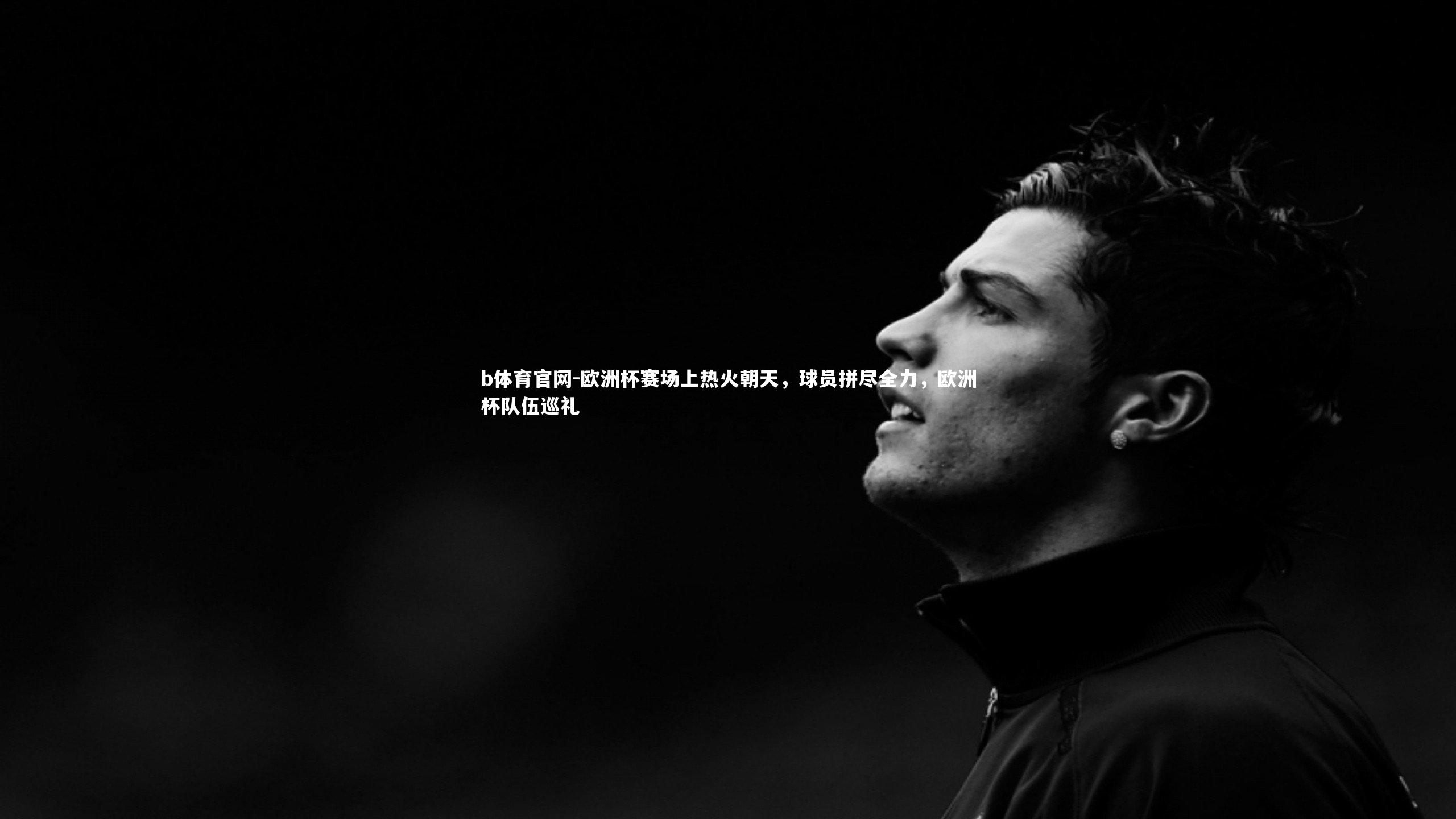 欧洲杯赛场上热火朝天,球员拼尽全力,欧洲杯队伍巡礼