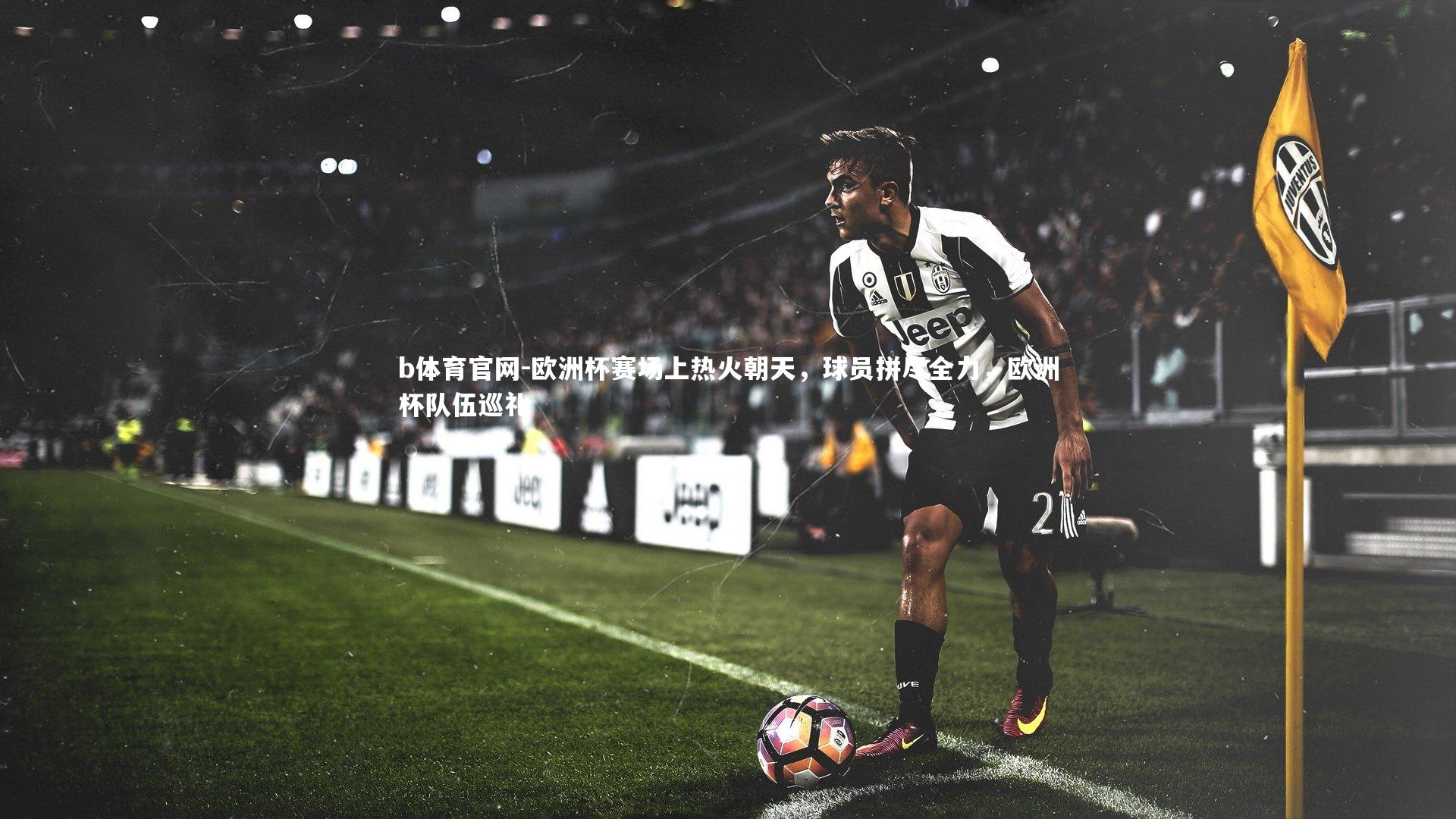 欧洲杯赛场上热火朝天,球员拼尽全力,欧洲杯队伍巡礼